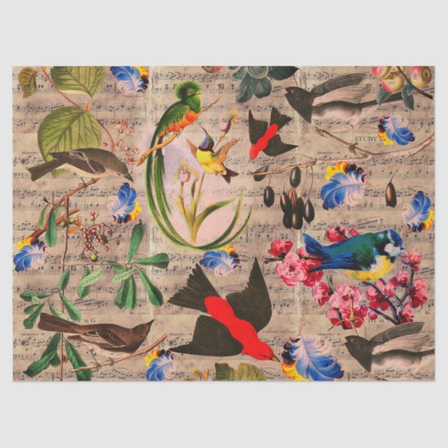 Papel De Seda AVES DE PRIMAVERA, CARACTERES, FRUTAS, notas de mú (Anverso)