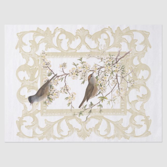 Papel De Seda Aves en la rama florida Ornate Marfil Frame (Anverso)