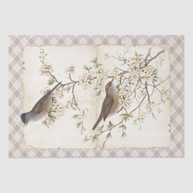 Papel De Seda Aves en ramas florecientes pergaminos (Anverso)