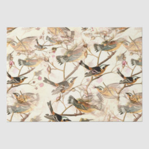 Papel De Seda Aves en una sucursal