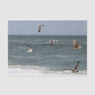 Papel De Seda Aves en vuelo de Shirley Taylor