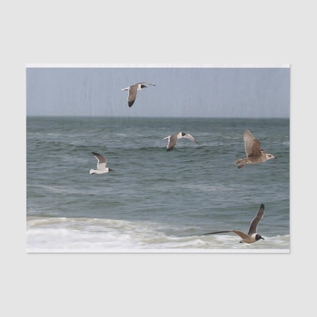 Papel De Seda Aves en vuelo de Shirley Taylor (Anverso)