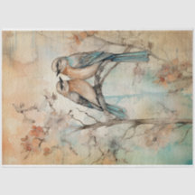 Aves forestales de primavera de tierras de hadas N