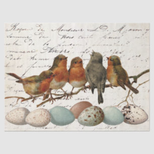 Papel De Seda Aves Huevos vintage europeos Robin página francesa