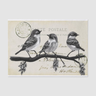 Papel De Seda Aves postales a la carta en una sucursal (postal f