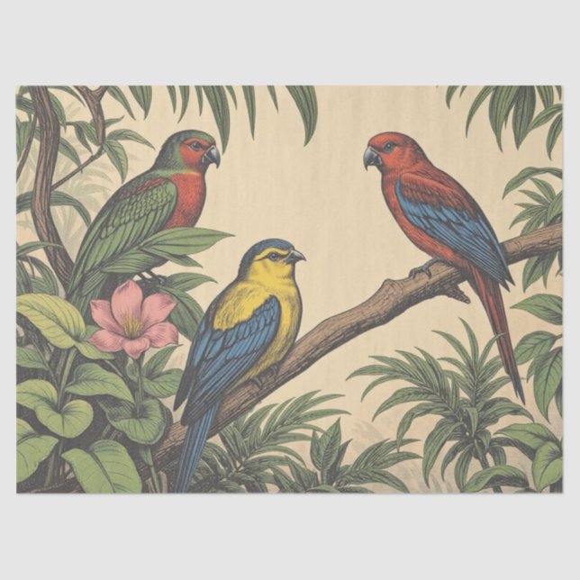 Papel De Seda Aves tropicales Ilustracion audaz (Anverso)