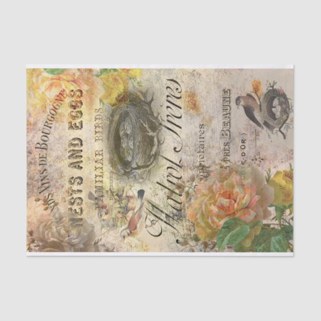 Papel De Seda Aves viejas en el tejido desconsolador de la época (Anverso)