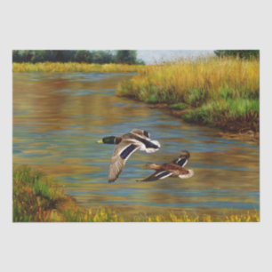 Papel De Seda Aves voladoras de pavos Mallard