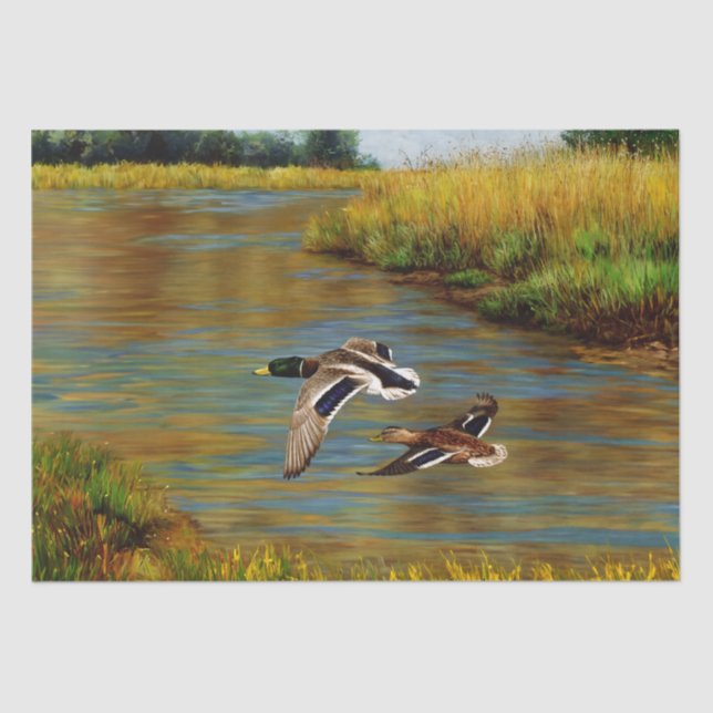 Papel De Seda Aves voladoras de pavos Mallard (Anverso)