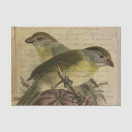 Papel De Seda Aves y guión de la efemera