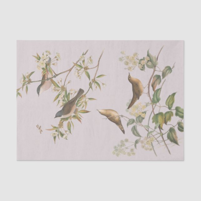 Papel De Seda Aves y hojas, boda romántico (Anverso)