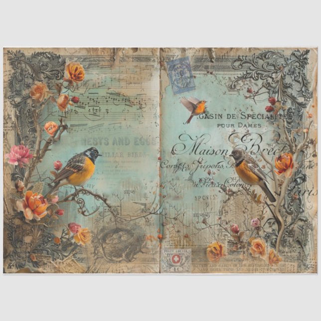 Papel De Seda Aves y huevos de Junk Journal (Anverso)