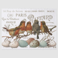 Aves y huevos pintan la antigua ciudad francesa