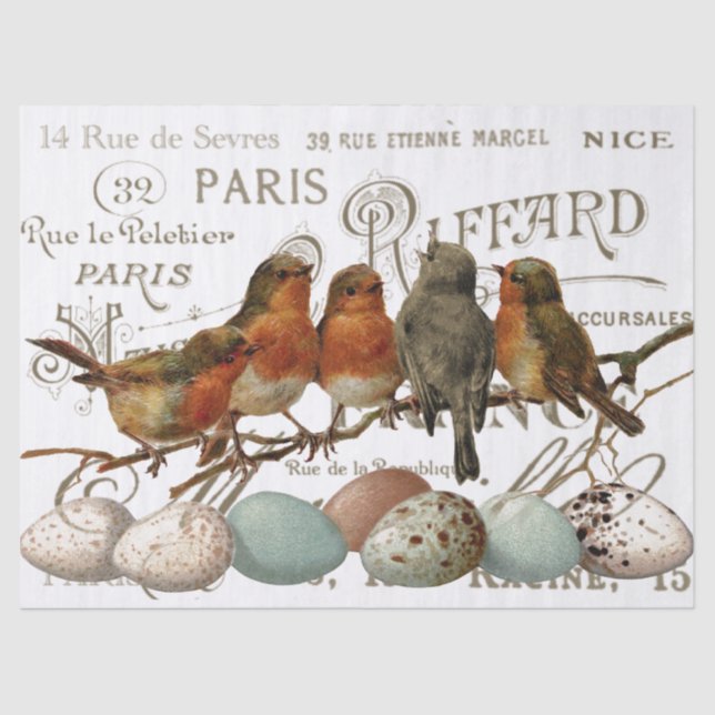 Papel De Seda Aves y huevos pintan la antigua ciudad francesa (Anverso)