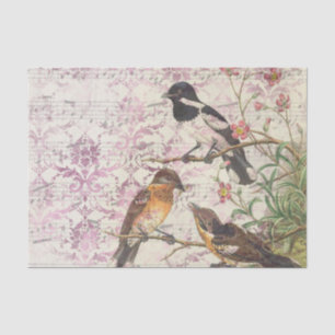 Papel De Seda Aves y música efímeras