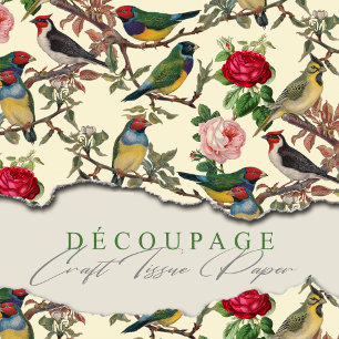 Papel De Seda Aves y Rosas Chintzy de Victoria