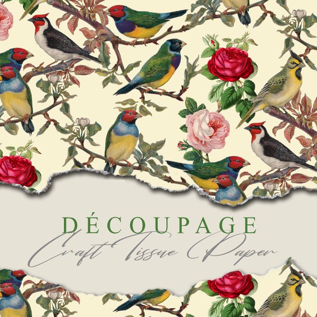 Papel De Seda Aves y Rosas Chintzy de Victoria (Subido por el creador)