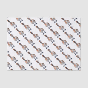 Papel De Seda Aviator Goose
