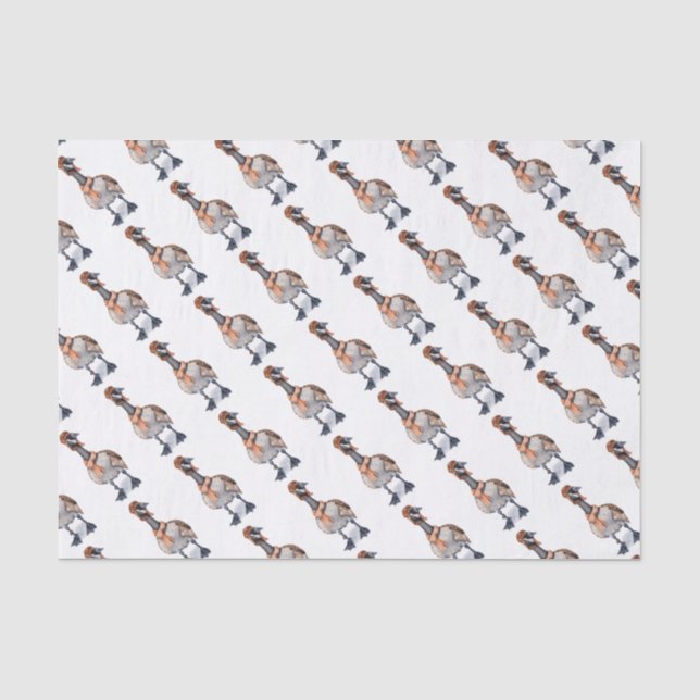 Papel De Seda Aviator Goose (Anverso)
