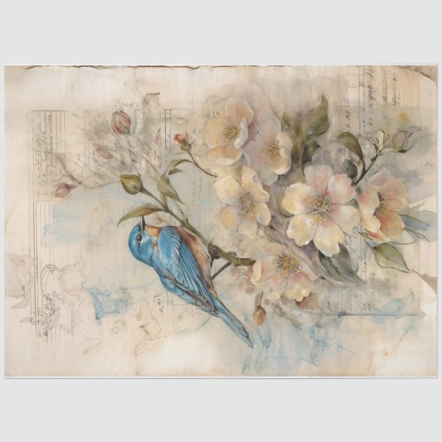 Papel De Seda Azul 3 (Anverso)