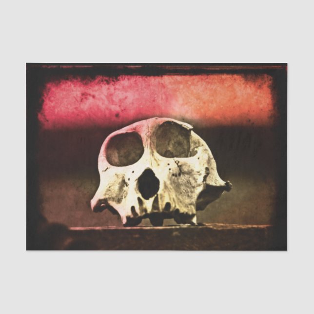 Papel De Seda Baboon Skull Sunset (Anverso)