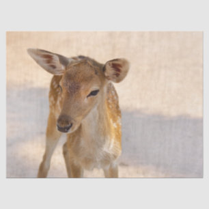 Papel De Seda Baby Deer