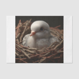 Papel De Seda Baby Dove