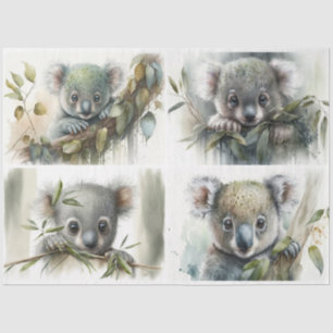 Papel De Seda baby Koalas