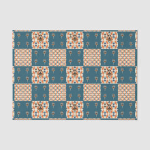 Papel De Seda Bailarina