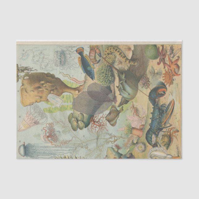 Papel De Seda Bajo el mar artesanos de biología marina" (Anverso)