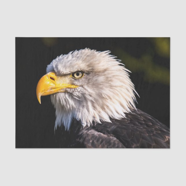 Papel De Seda Bald Eagle (Anverso)