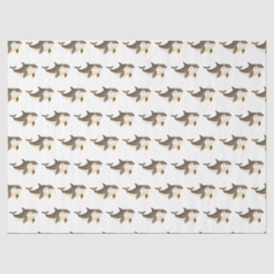 Papel De Seda Ballena Ártica de Invierno Adorable