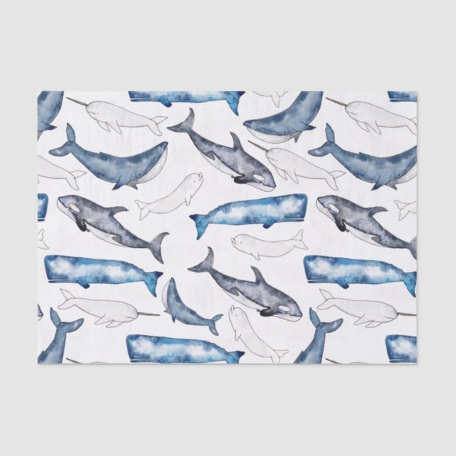 Papel De Seda Ballenas acuarelas (Anverso)