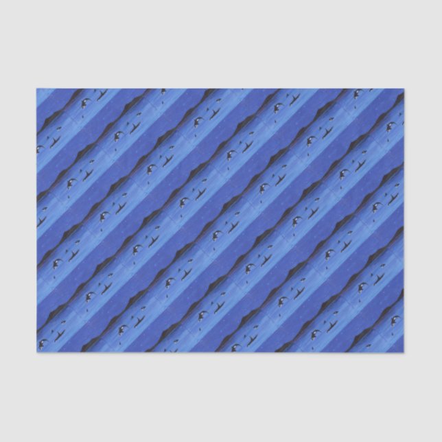 Papel De Seda Ballenas asesinas (Anverso)