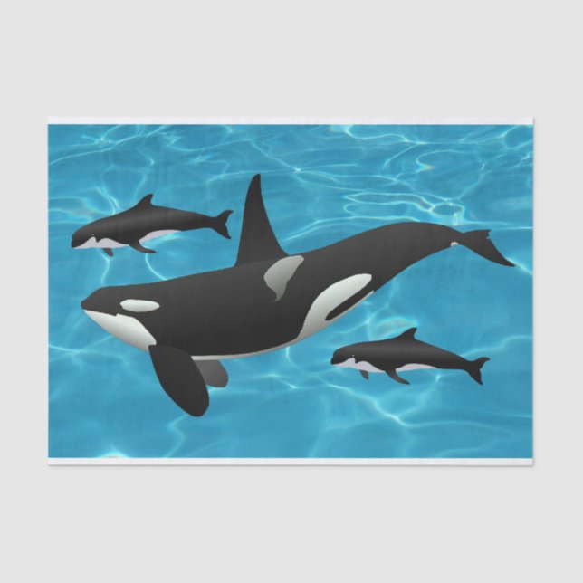 Papel De Seda Ballenas Orca (Anverso)