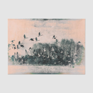 Papel De Seda Bandada de gansos textura vintage antigua beige ve