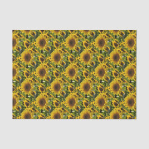 Papel De Seda Bandas de regalo Sunflowers
