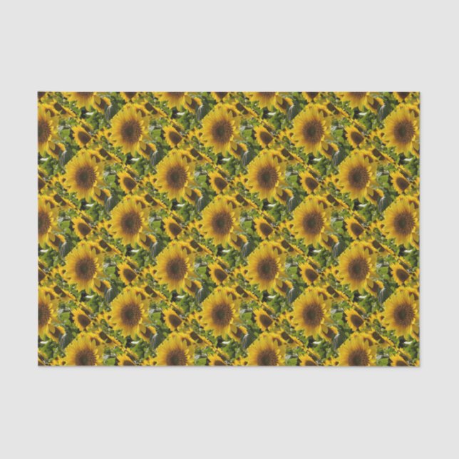 Papel De Seda Bandas de regalo Sunflowers (Anverso)