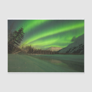 Papel De Seda Banded Aurora