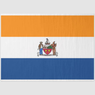 Papel De Seda Bandera de Albany (Nueva York)