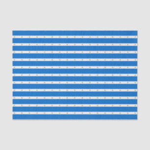 Papel De Seda Bandera de Nicaragua