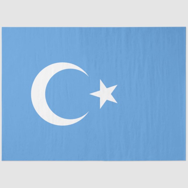 Papel De Seda Bandera uigur del este de Turkmenistán (uigur) (Anverso)