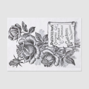 Papel De Seda Banner de desplazamiento de flor Rosa Desenlace de