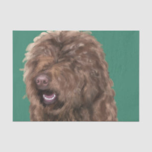 Papel De Seda Barbet 