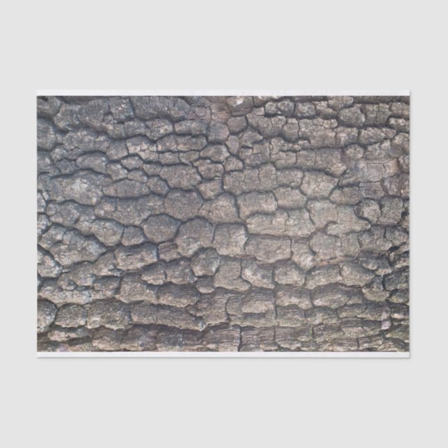 Papel De Seda Barca del árbol del avión (Anverso)