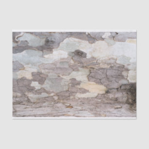 Papel De Seda Barca del árbol del avión