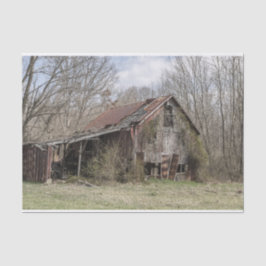 Papel De Seda Barne rota en medio de árboles desnudos y Bush cru