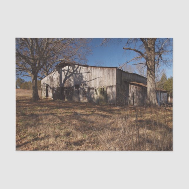 Papel De Seda Barnero marrón claro en penumbra entre hierbas mar (Anverso)