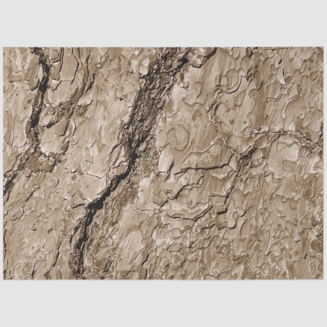 Papel De Seda Barra de árbol B (Anverso)