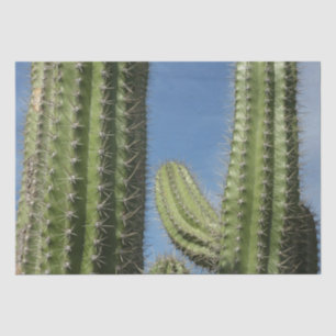 Papel De Seda Barrel Cactus I Desert Photo